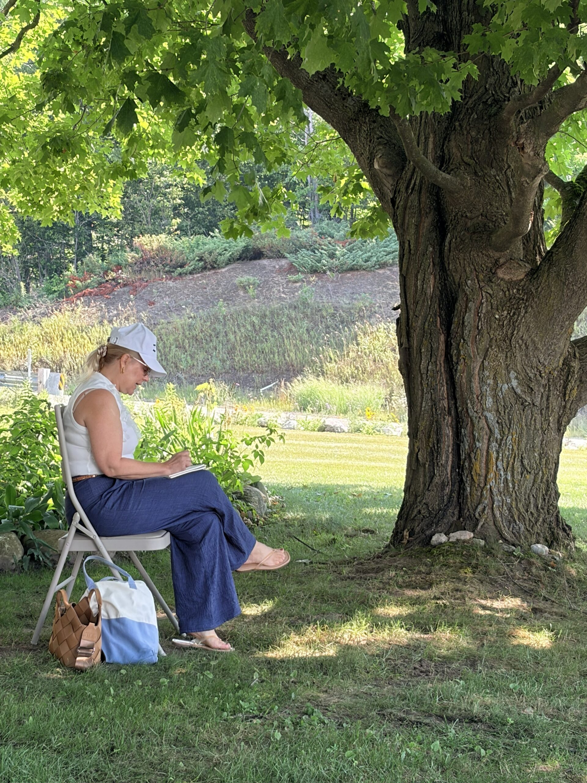 Jane Zimmer seated beneath a large leafy tree, sketching outdoors